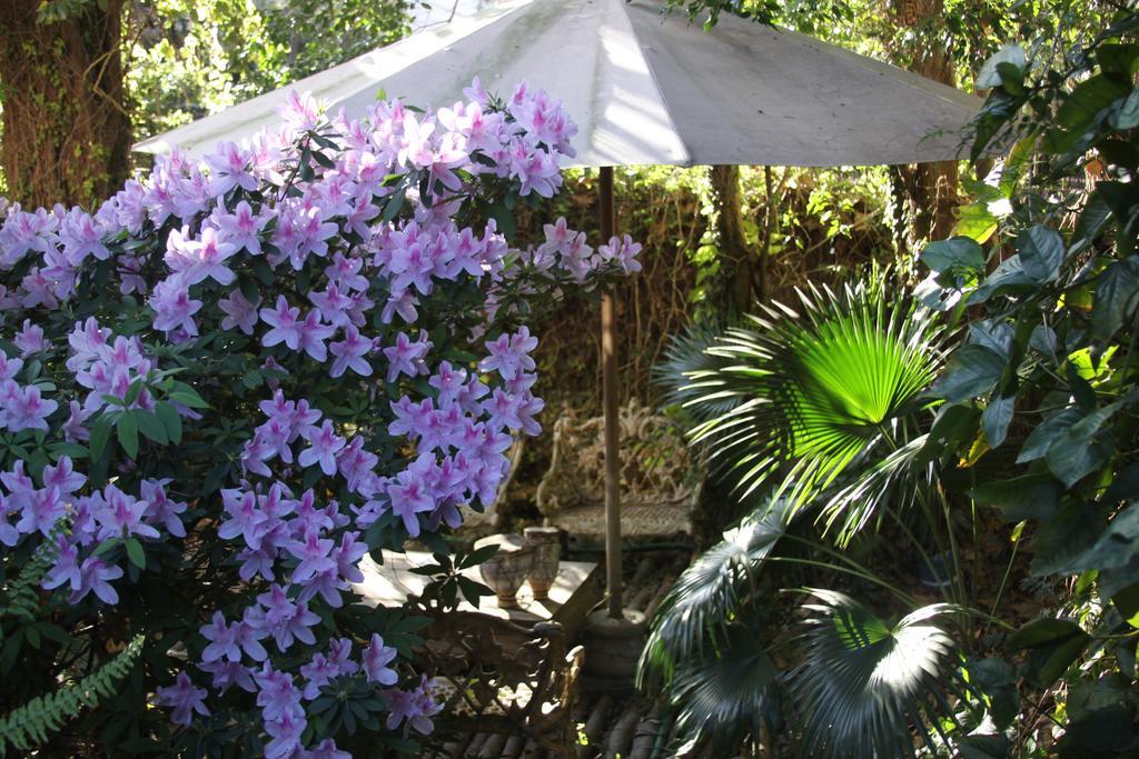 La Casona De Grace Bed & Breakfast Olivos Bagian luar foto