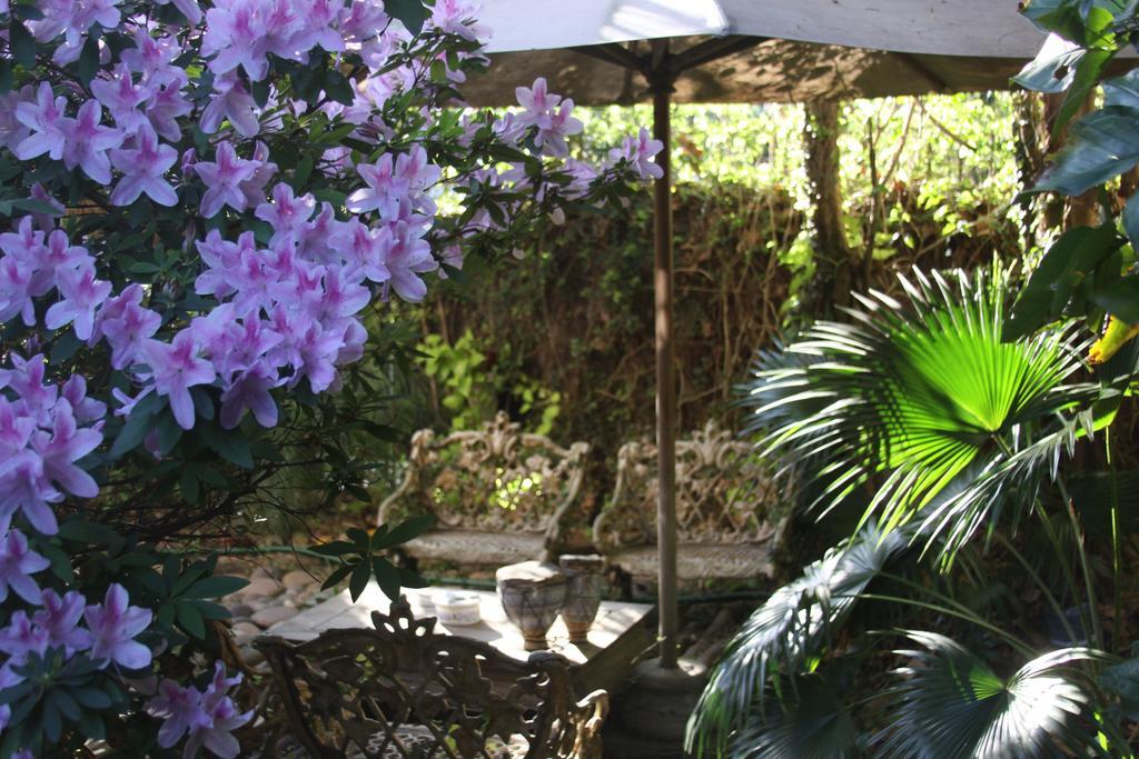 La Casona De Grace Bed & Breakfast Olivos Bagian luar foto