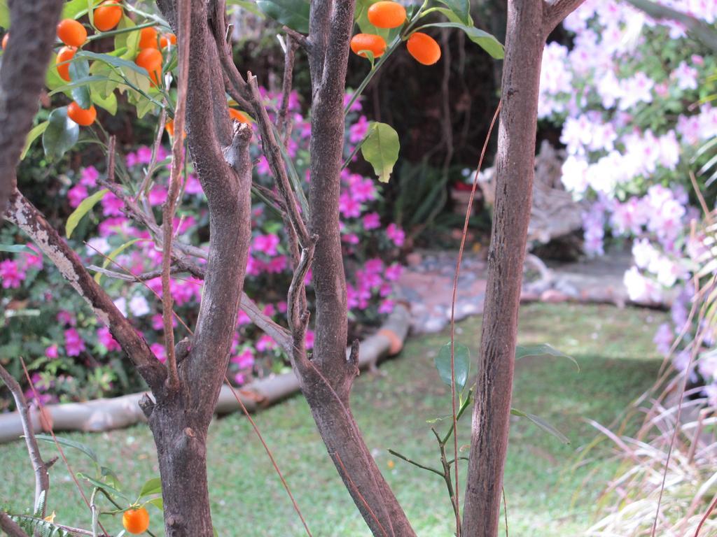 La Casona De Grace Bed & Breakfast Olivos Bagian luar foto
